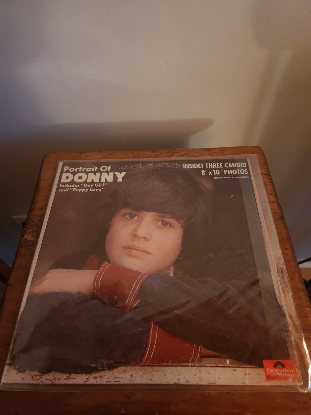 Portrait of Donny Vintage Vinyl LP — Brown and Red Cover